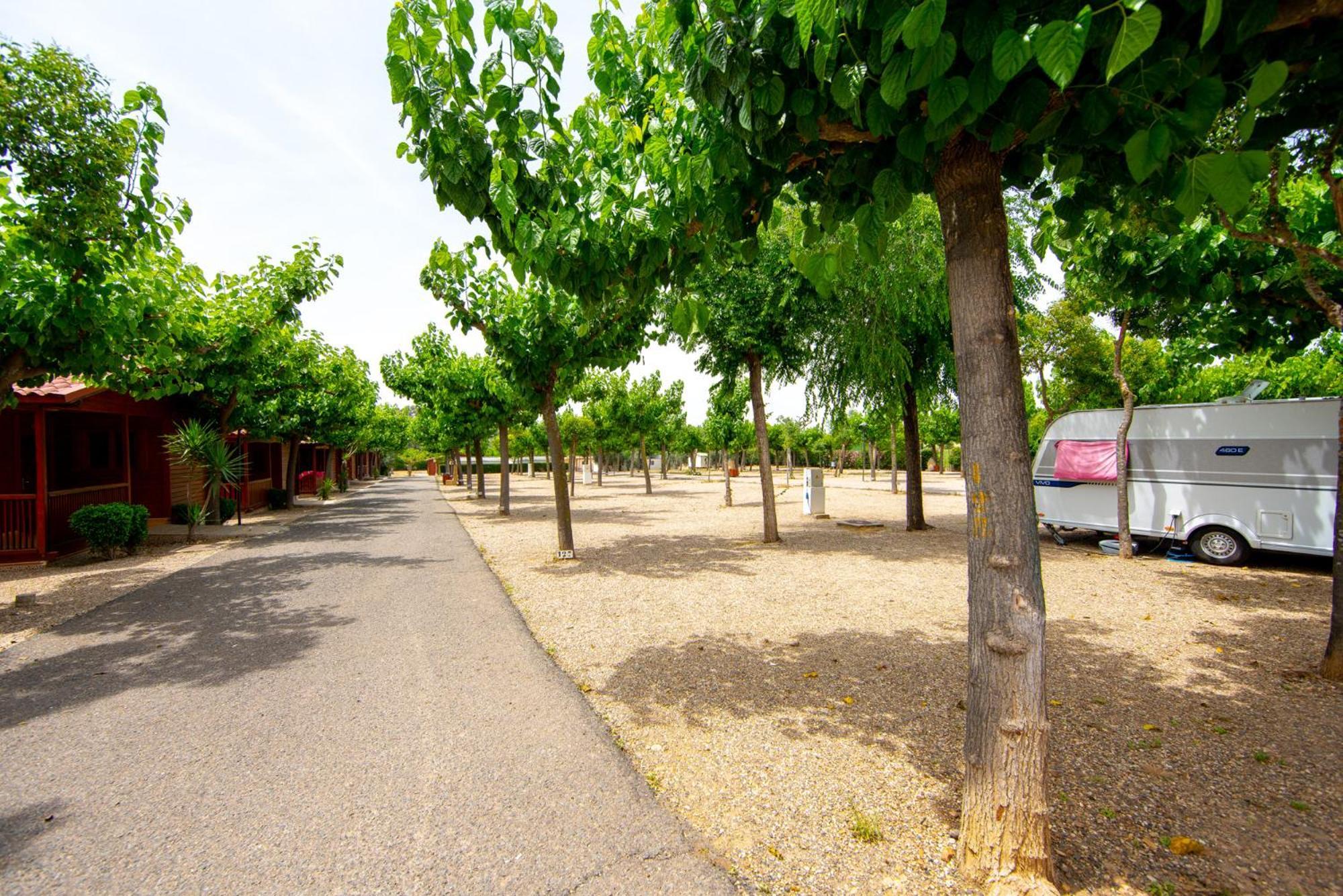 Camping Carlos III La Carlota Exterior foto